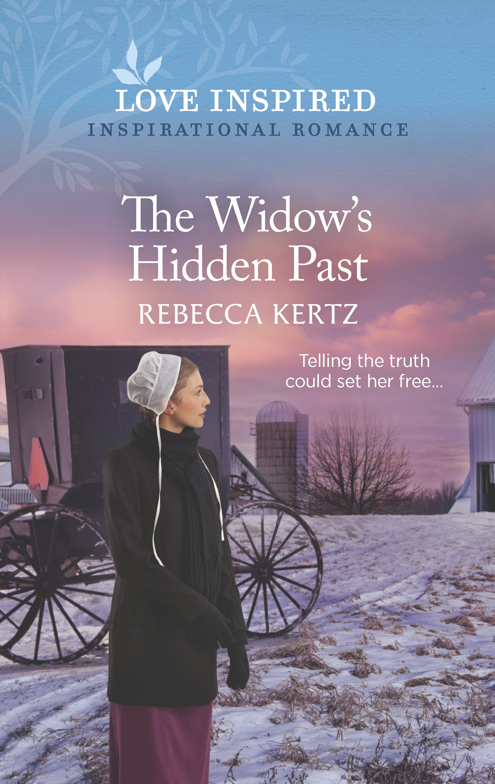Cover for The Widow's Hidden Past